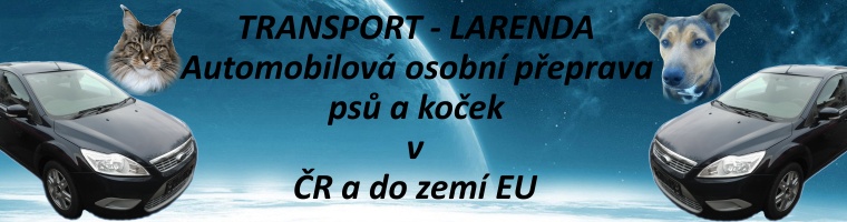 Larenda transport koček